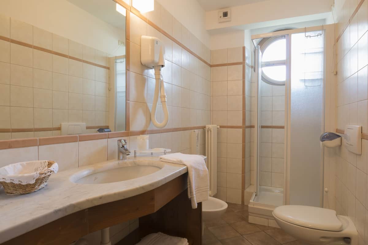 shower, hair dryer, bidet, towels