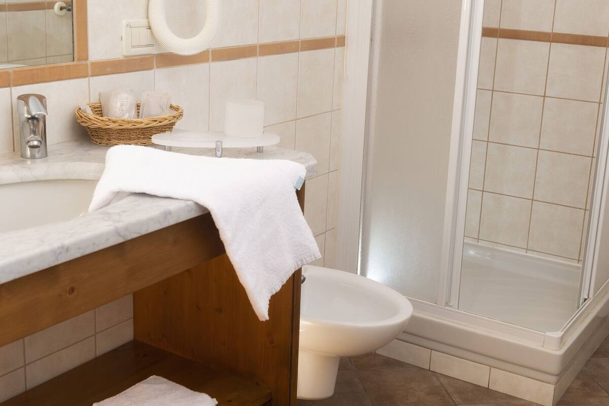 basic room | bathroom | shower, hair dryer, bidet, towels