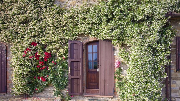 A stone building with a wooden door and a window, covered in climbing plants and flowers.