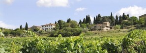 Exterior - Montelucci Country Resort & Agriturismo di Charme (Pergine Valdarno)