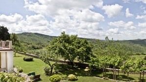A vineyard with stone buildings, a fenced riding area, and a scenic mountainous backdrop.
