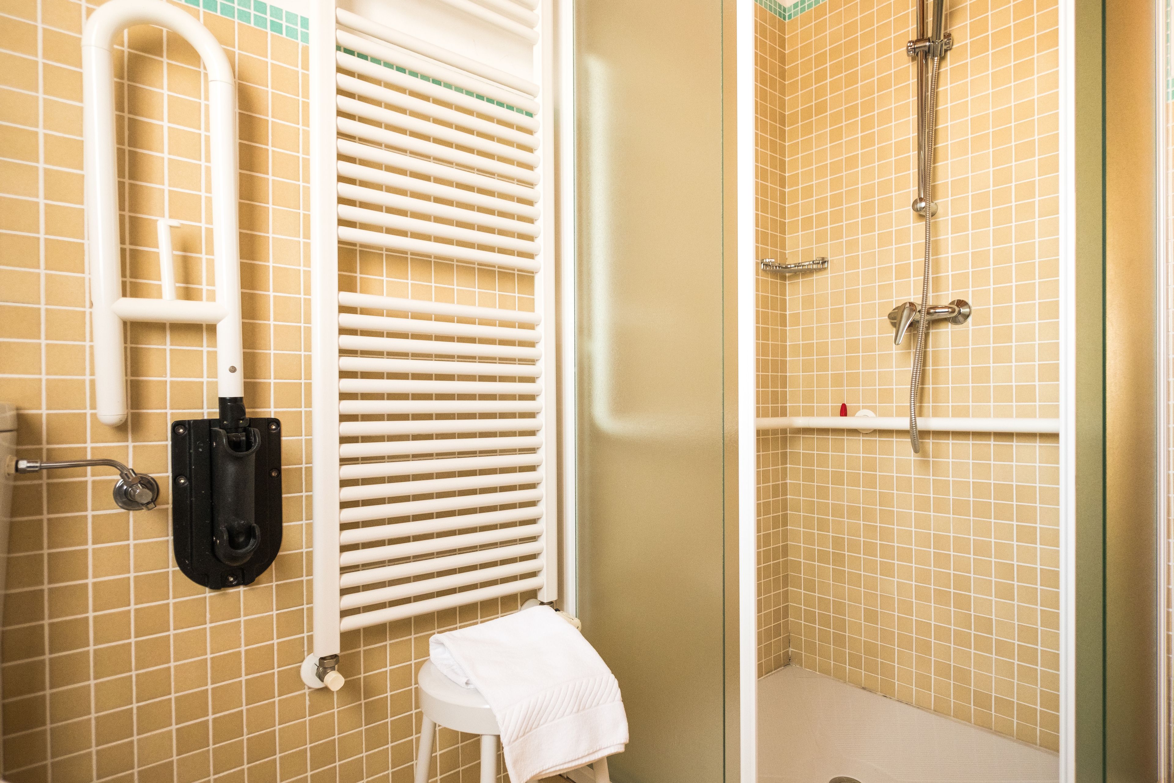 A bathroom with a shower, a toilet, and a handrail.
