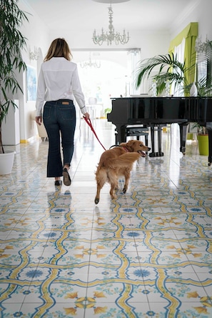 Pet-friendly amenities