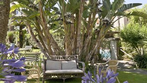 A garden with a wicker sofa, chairs, and a wooden fence. - Hotel Eden (Sorrento)