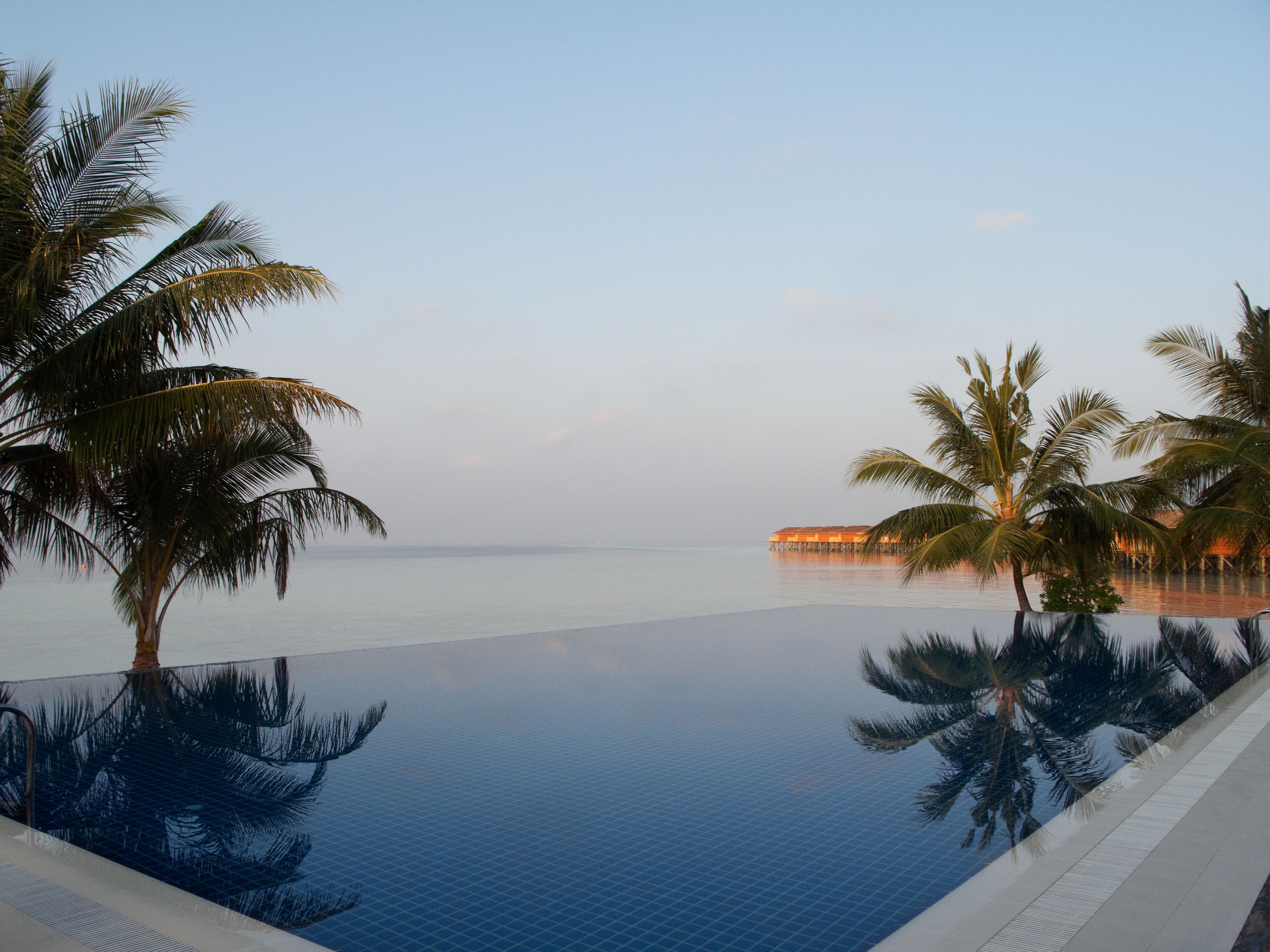 A clear infinity pool with palm trees and a distant overwater structure.