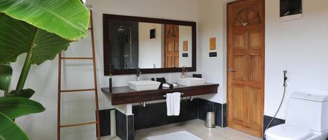 A bathroom with a wooden door, a large mirror, two sinks, a toilet, and a ladder.
