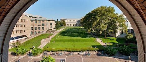 A courtyard with a central lawn, surrounded by buildings and trees.