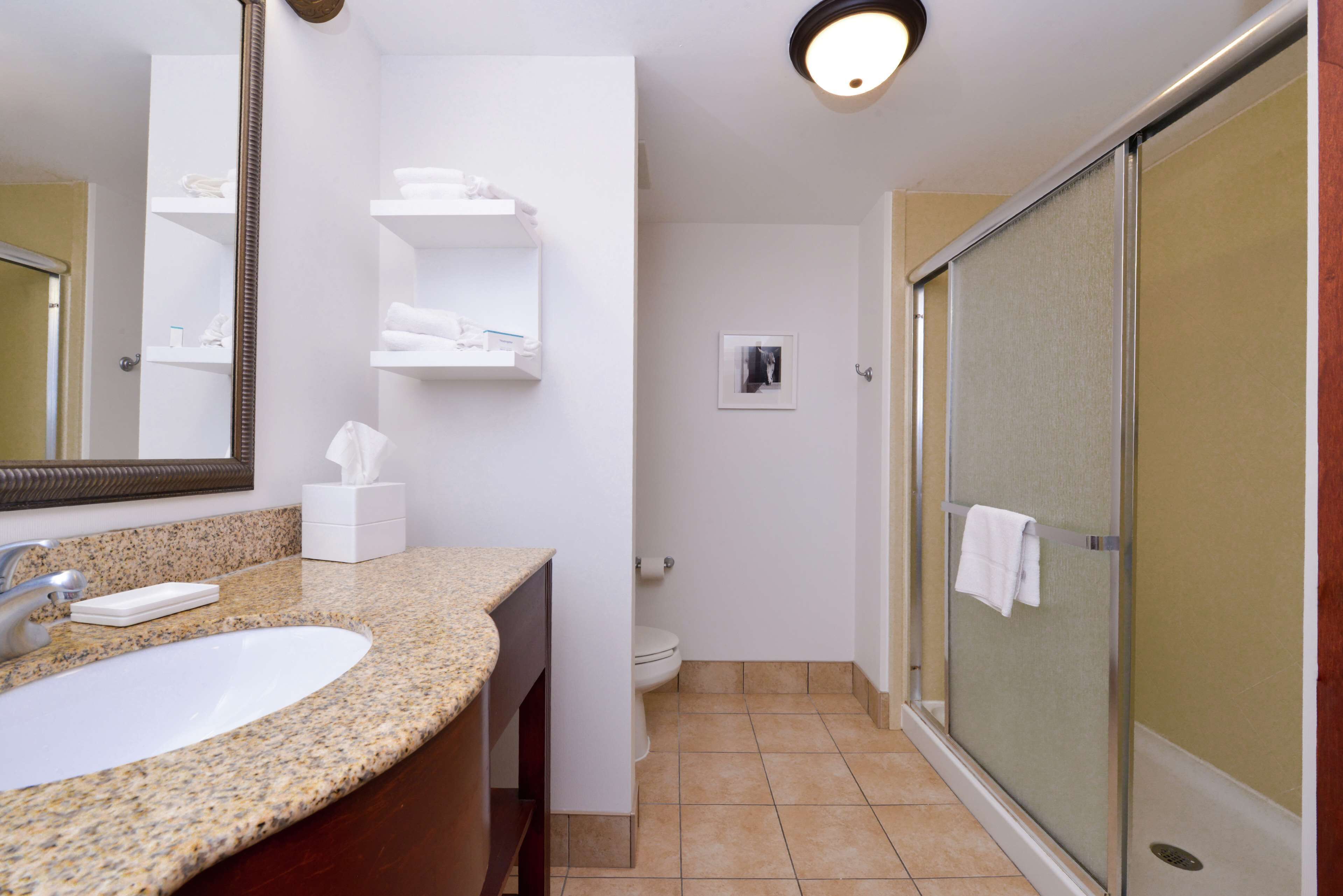 A bathroom with a granite countertop sink, a mirror, a toilet, and a glass shower enclosure.