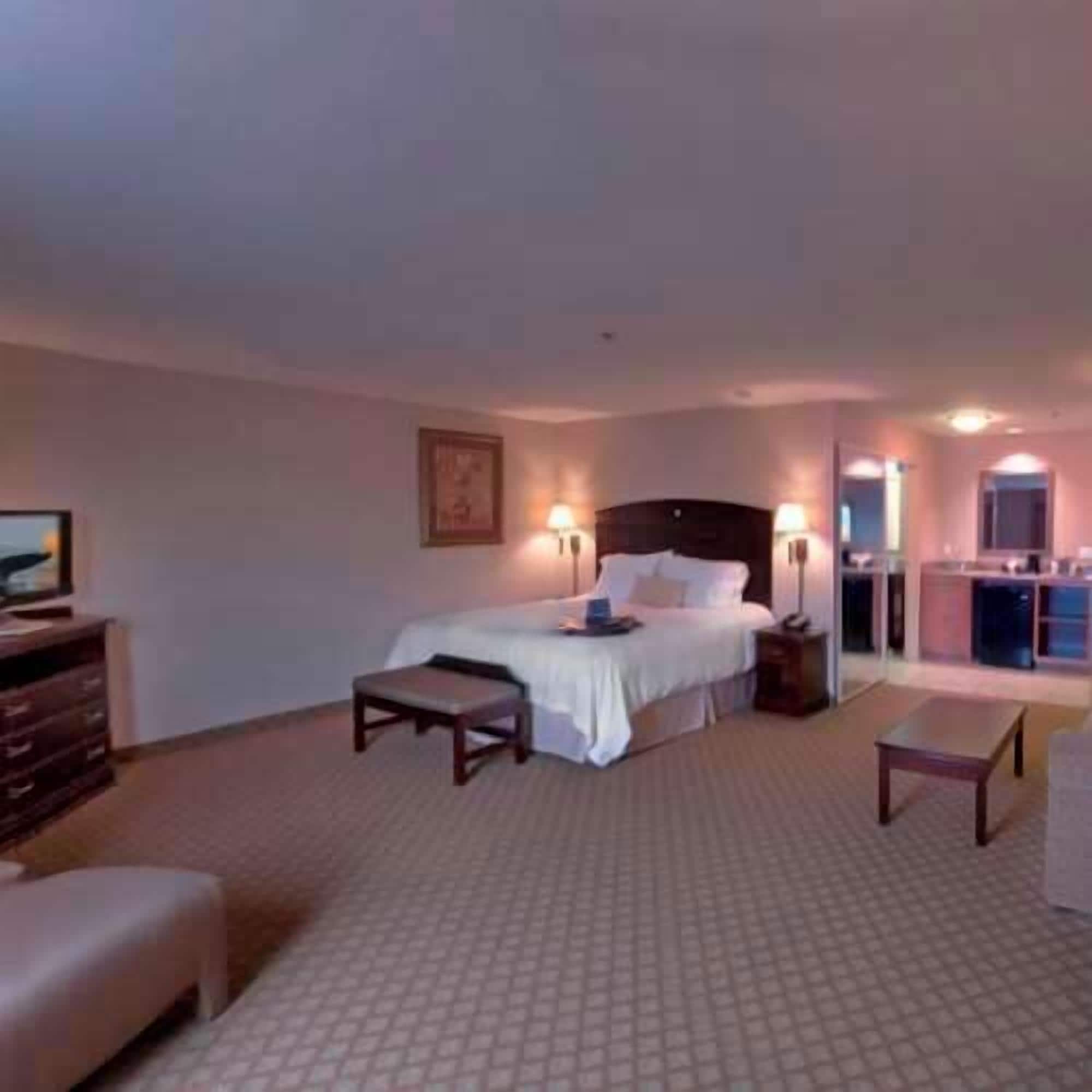 studio, 1 king bed with sofa bed, non smoking | in-room safe, iron/ironing board, free wifi, alarm clocks