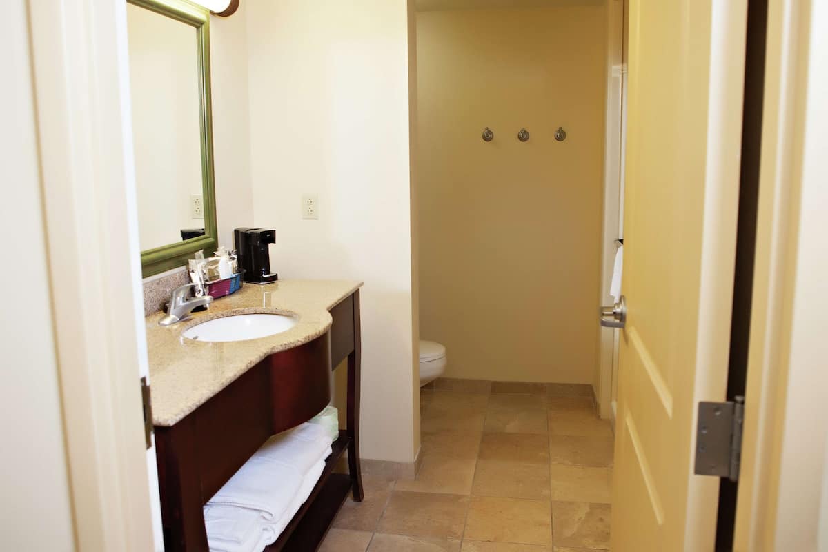 A bathroom with a sink, mirror, and a toilet.