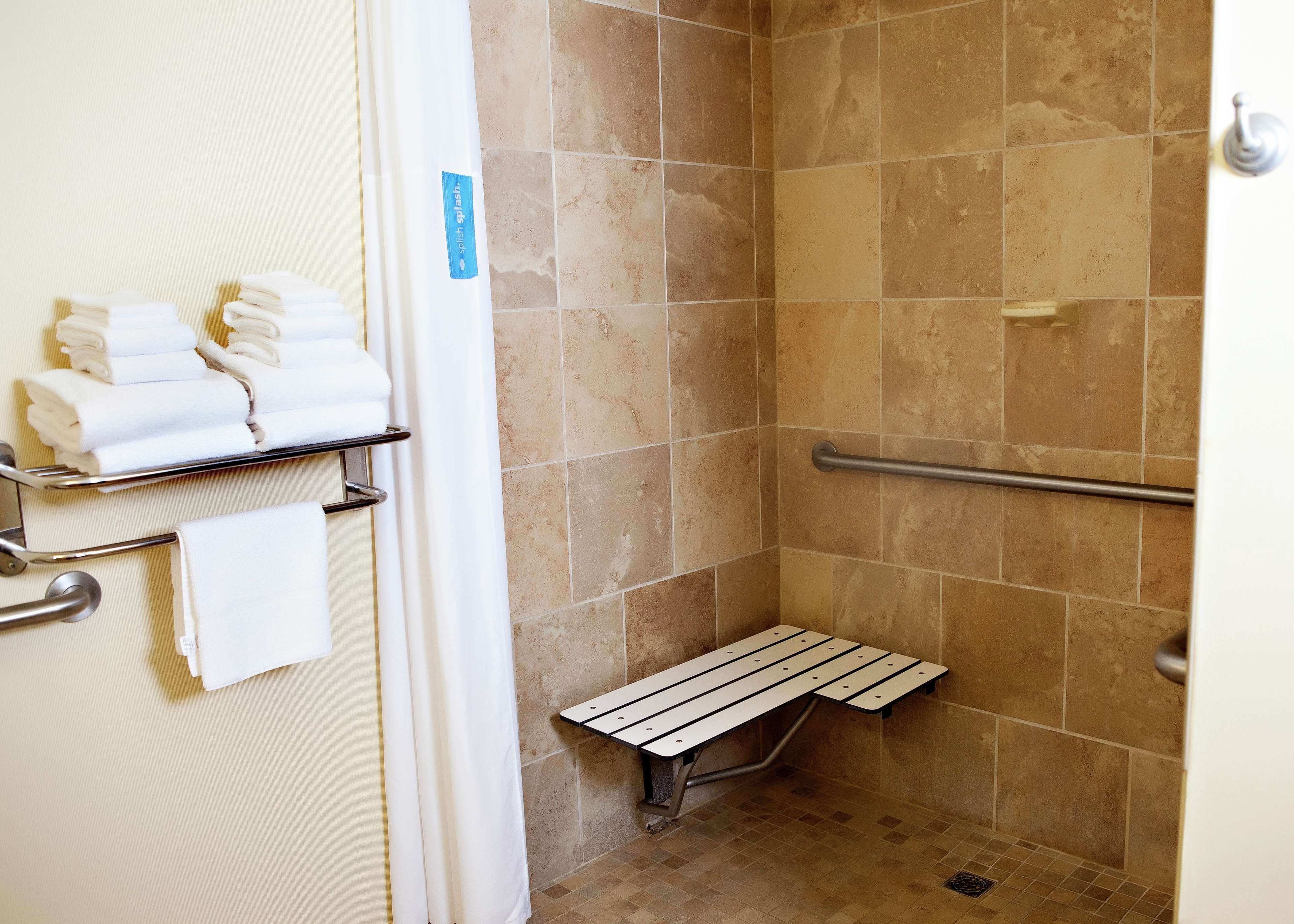 studio, accessible, non smoking | bathroom shower