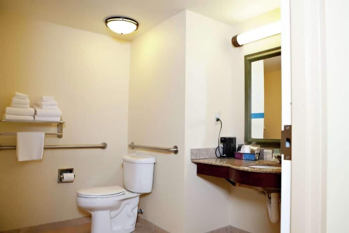 A bathroom with a toilet, handrails, a towel rack, a sink with a mirror, and a countertop with toiletries.