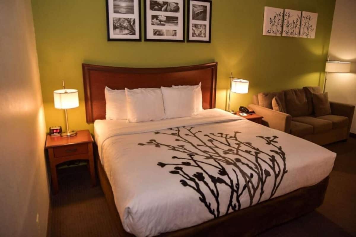 A hotel room with a large bed, a nightstand with a lamp, a sofa, and wall art.