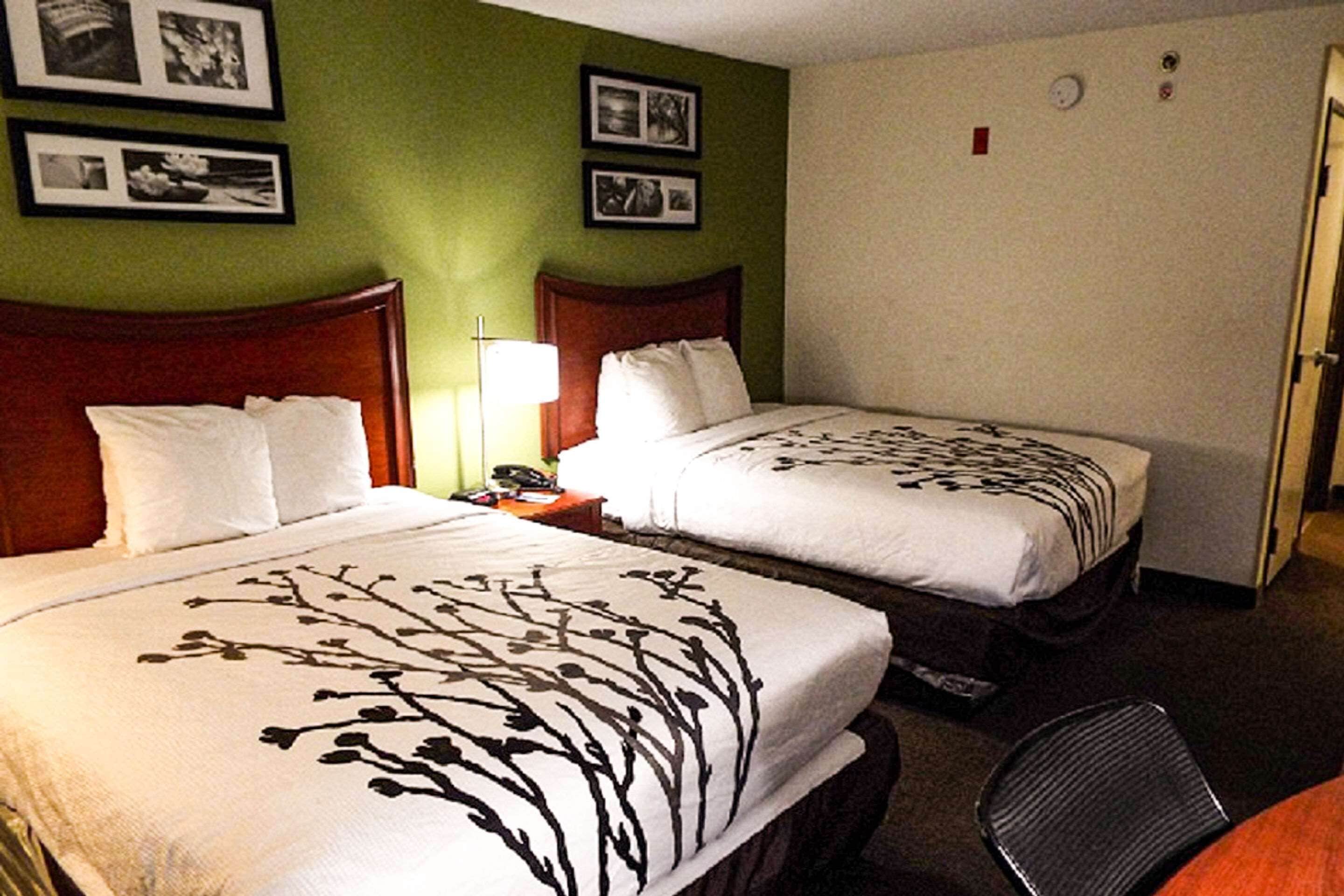 Habitación de hotel con dos camas, una mesita de noche, una silla y una pared con cuadros enmarcados.