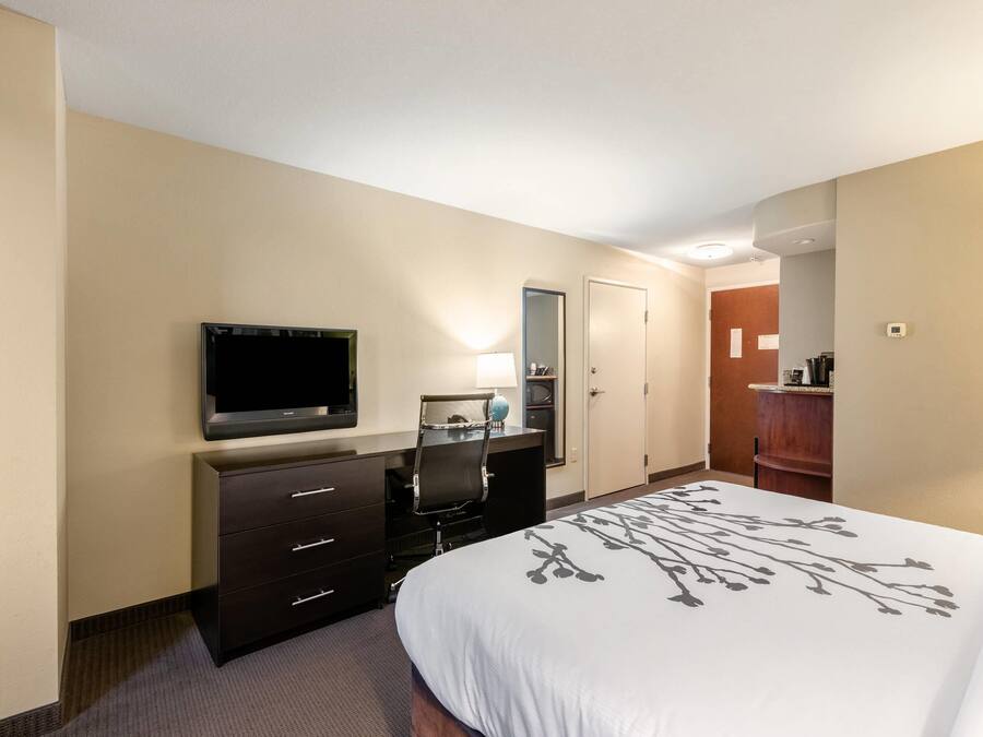 Une chambre d’hôtel comprenant un lit, un bureau avec une télévision, une chaise, une lampe de bureau et un miroir.