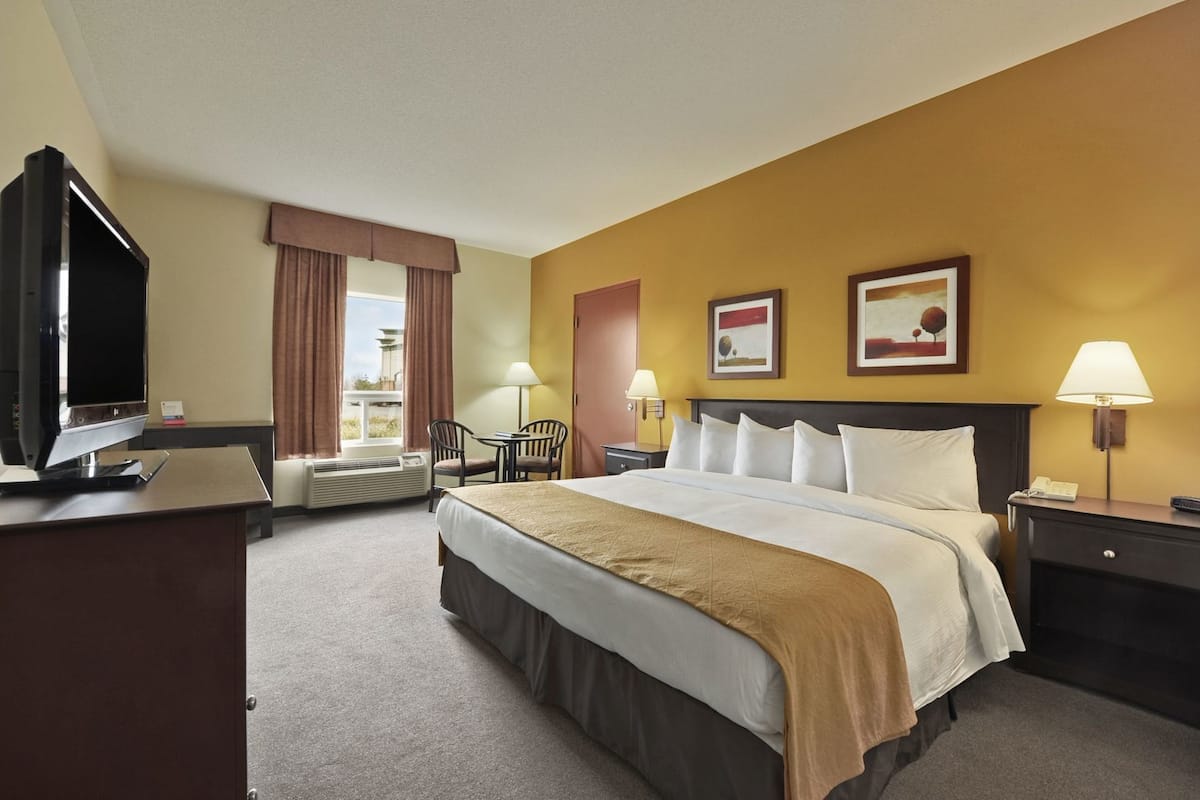 Une chambre d’hôtel comprenant un lit, des tables de chevet, un bureau avec une télévision, une chaise, une lampe et deux tableaux encadrés au mur.