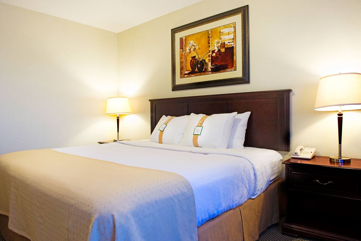 Une chambre d’hôtel avec un grand lit, deux tables de chevet avec des lampes, une œuvre d’art encadrée au mur et une petite table de nuit avec un téléphone.
