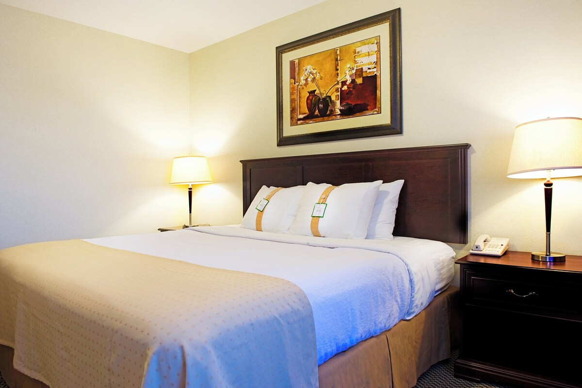 A hotel room with a large bed, two bedside tables with lamps, a framed artwork above the bed, and a nightstand with a phone.