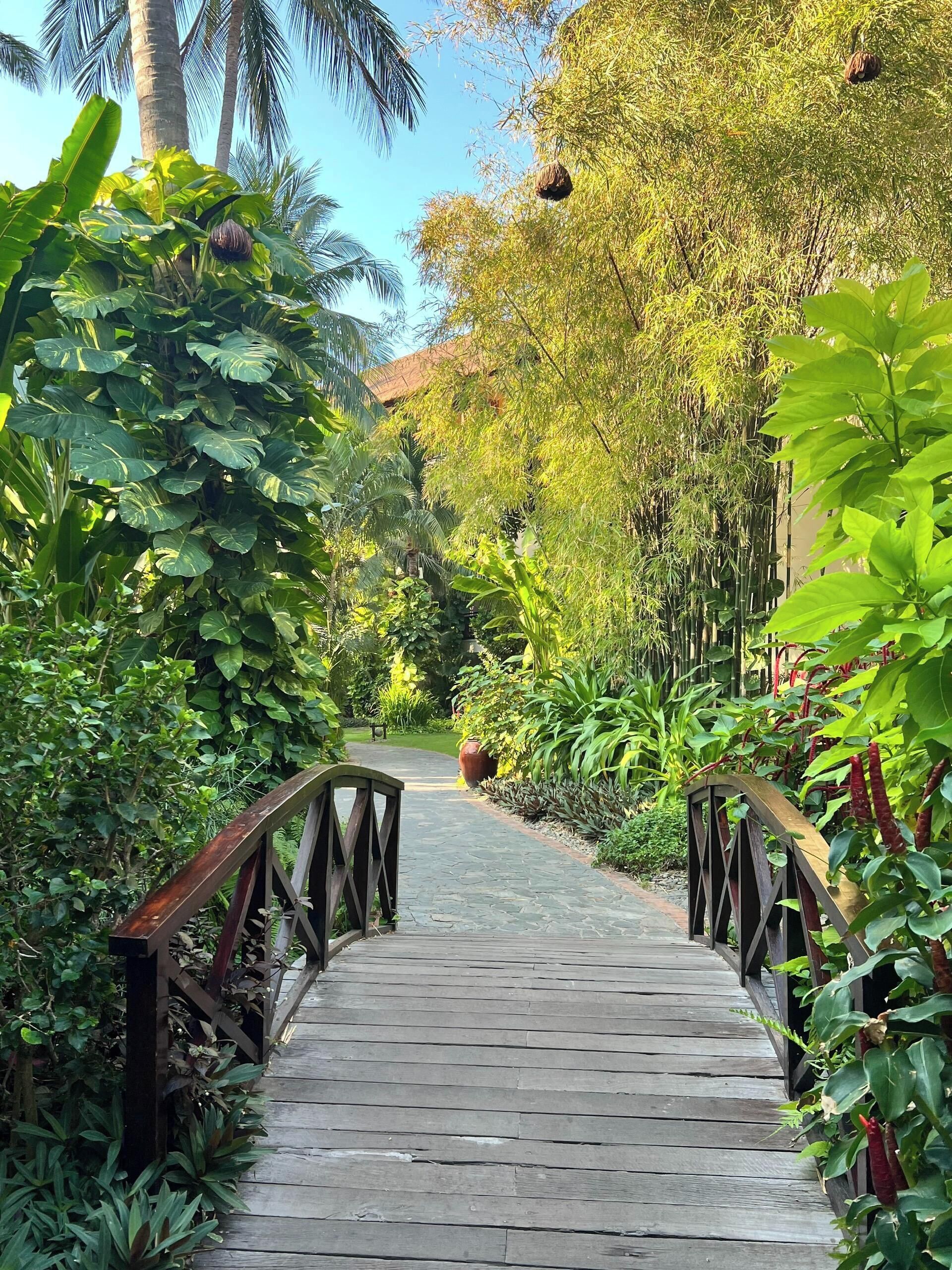 A wooden pathway leading through a lush garden with various plants and a rustic bridge.