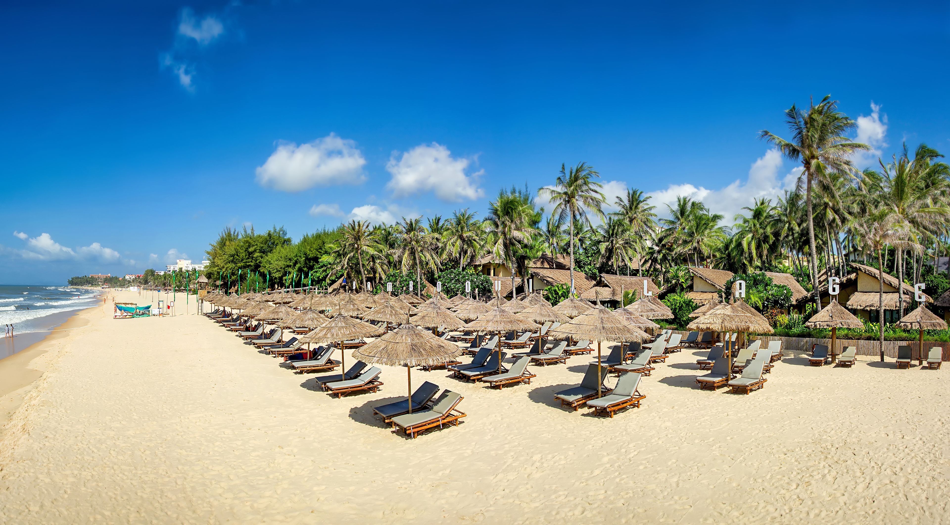 A beach with rows of sun loungers and thatched umbrellas, palm trees, and beach huts.