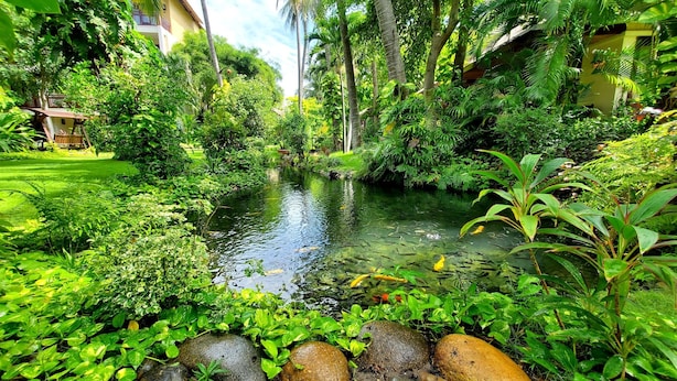 Un jardín tranquilo con un estanque, abundante vegetación y un edificio al fondo.