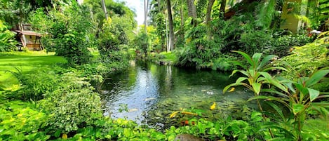 Serene Oasic Bungalow | Garden view