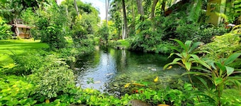 Bamboo Village Beach Resort & Spa