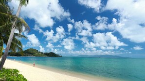A beach with clear turquoise water, a sandy shore, and a palm tree. - Samui Palm Beach Lead by Celes Samui (Koh Samui)
