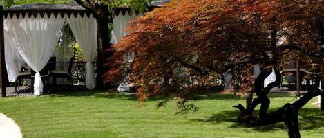 Un jardin bien entretenu, avec une pelouse soigneusement taillée, un arbre aux feuilles rouges et un kiosque agrémenté de rideaux blancs.