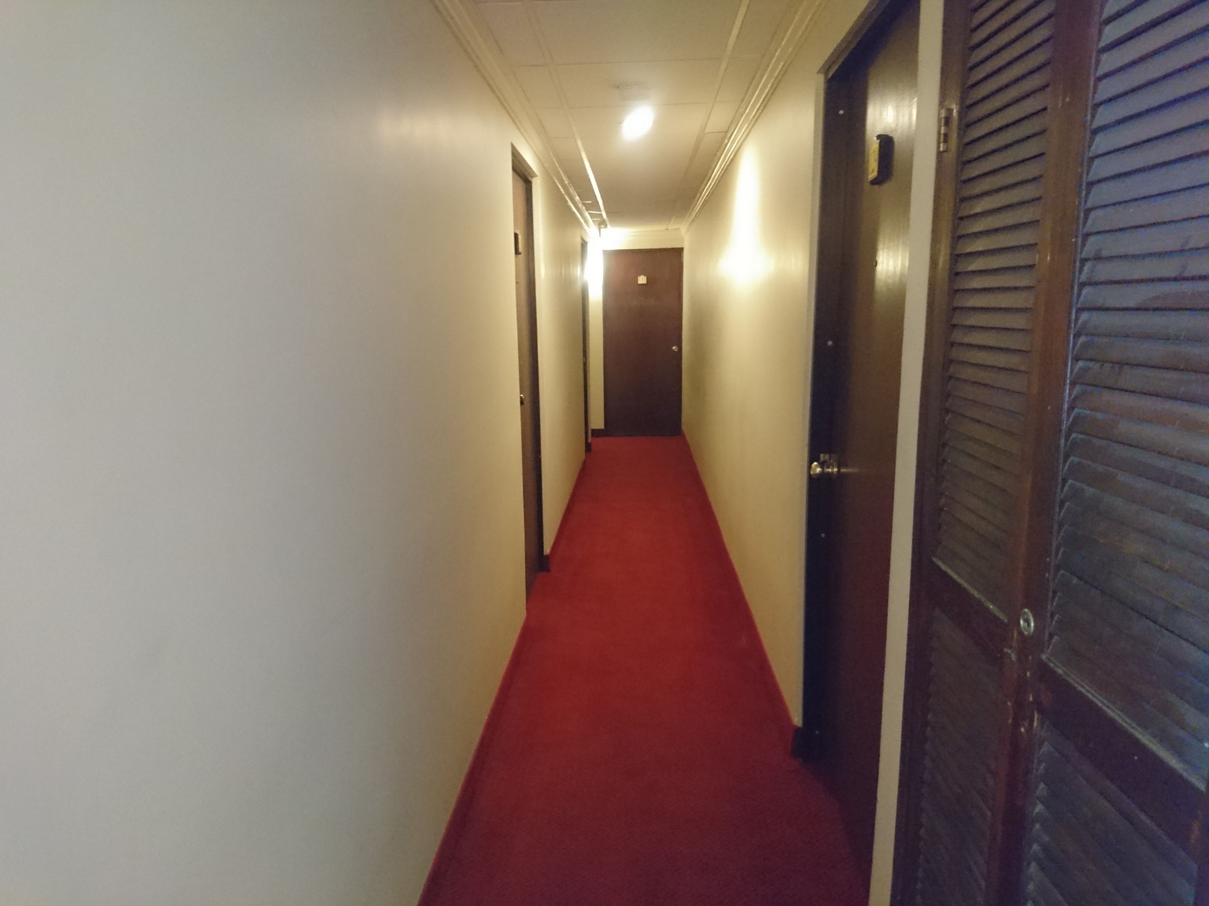 A hallway with a red carpet, white walls, and wooden doors.