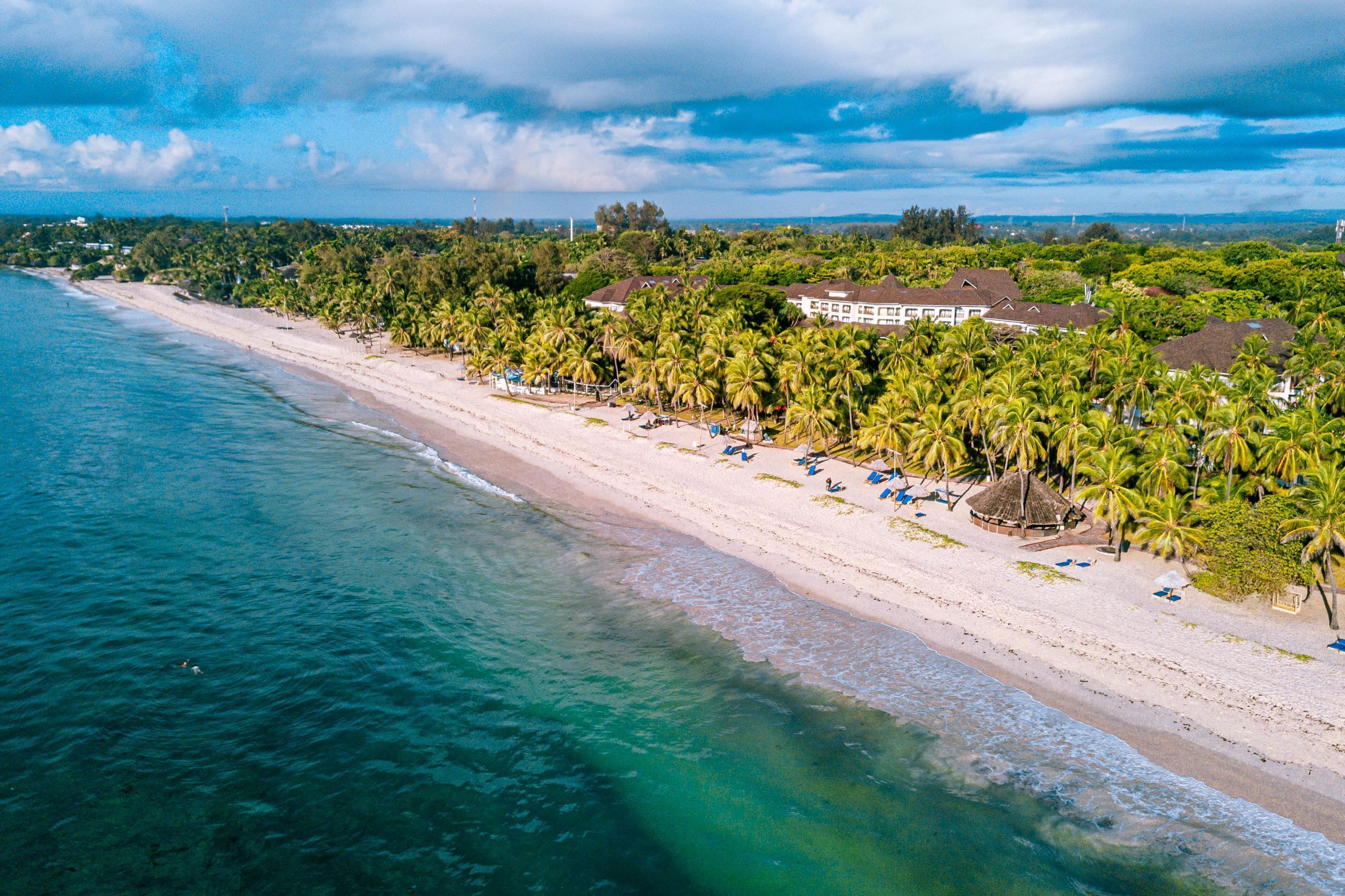 Una playa con agua turquesa cristalina, una orilla arenosa y una hilera de palmeras.