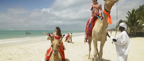 Escena de playa con camellos y gente.