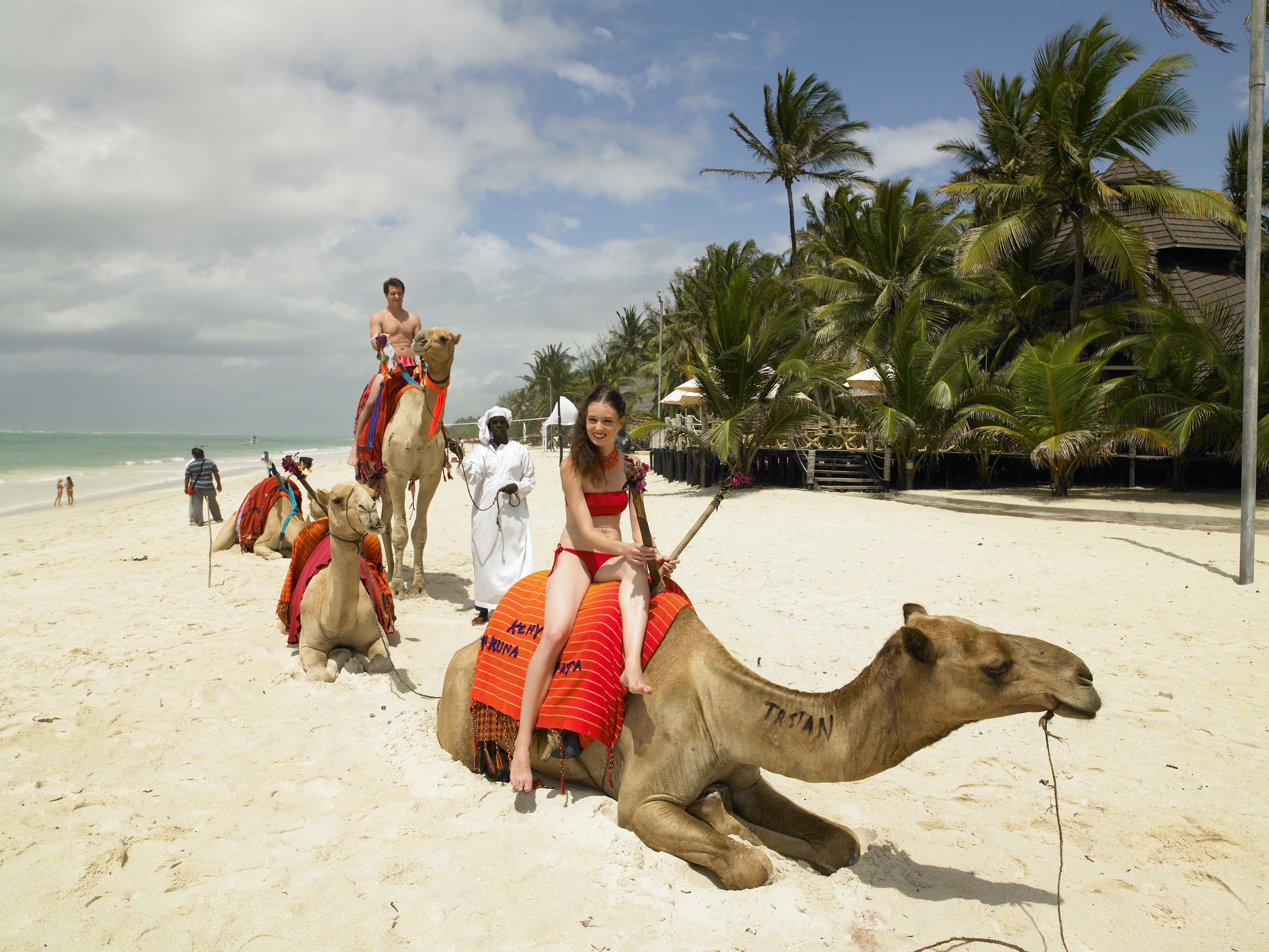Escena de playa con camellos y gente.