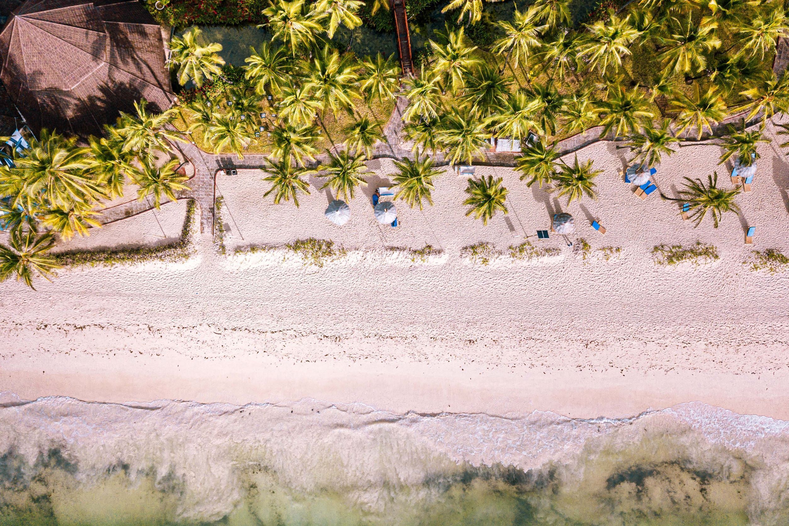 An aerial view of a beach with palm trees, sun loungers, and a sandy shoreline.