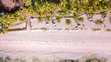 An aerial view of a beach with palm trees, sun loungers, and a sandy shoreline.