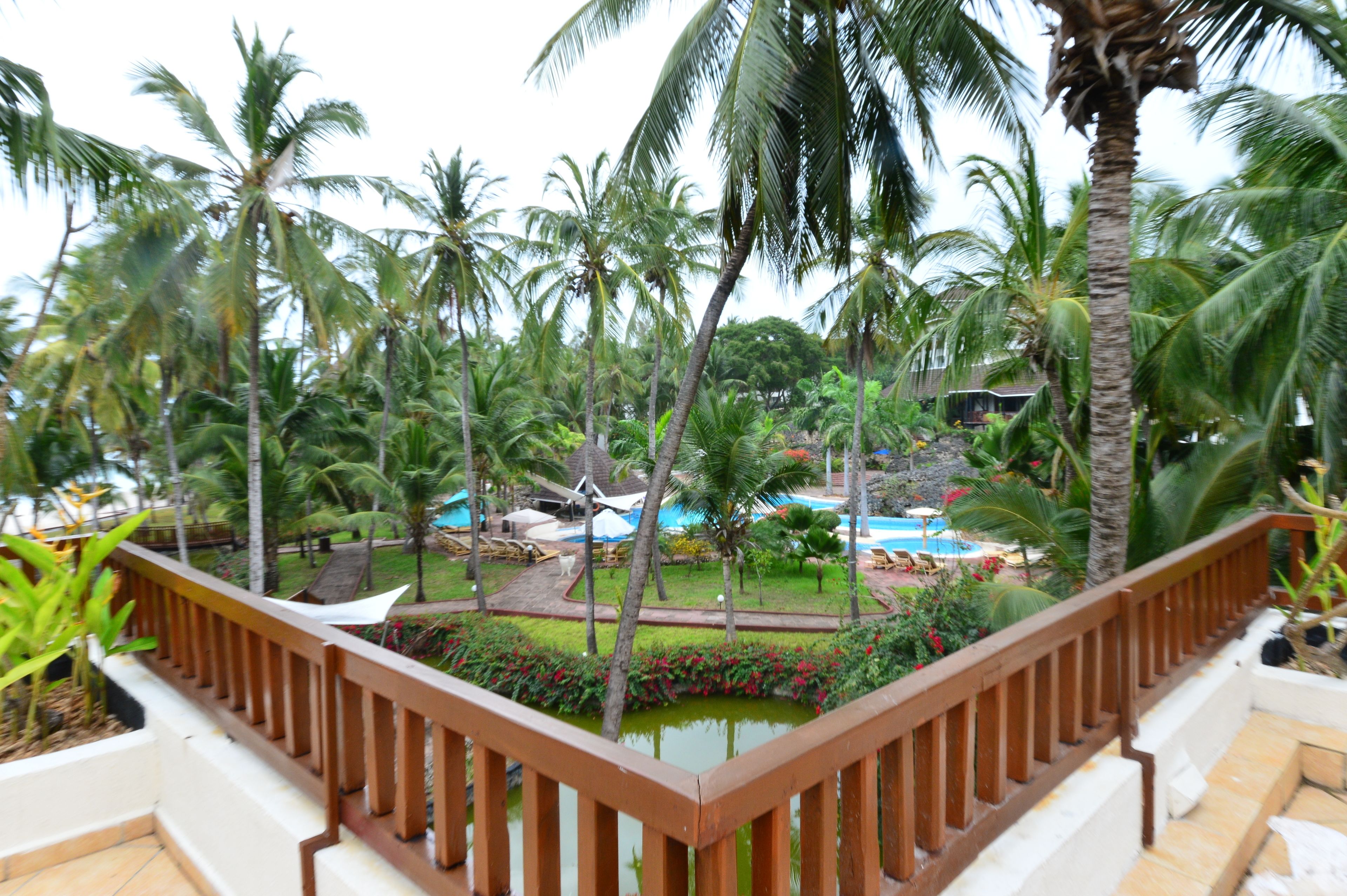A tropical resort with a pool, palm trees, and a wooden staircase.