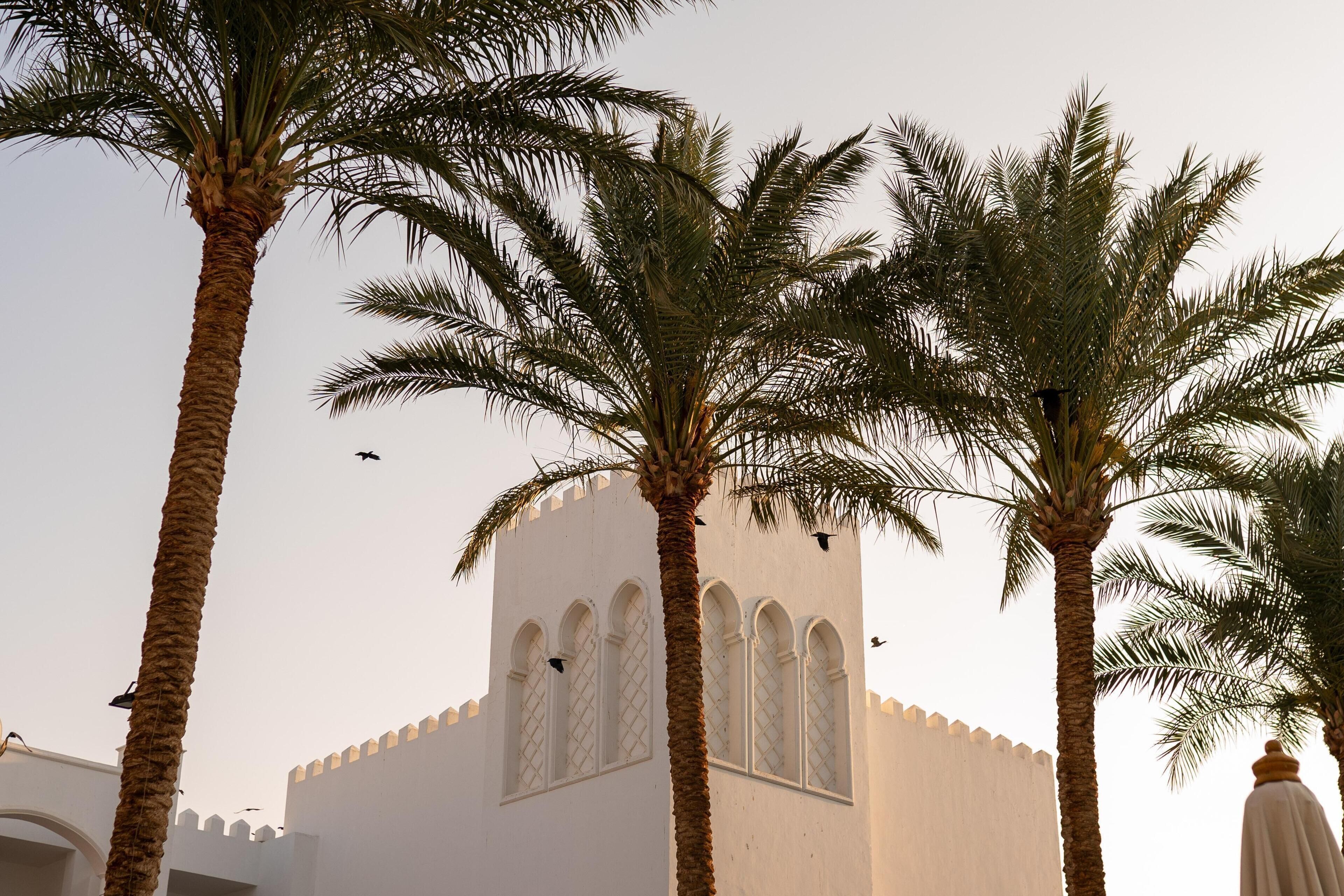 Photo - Baron Palms Adults Friendly Only 16 years plus Boutique Hotel Style