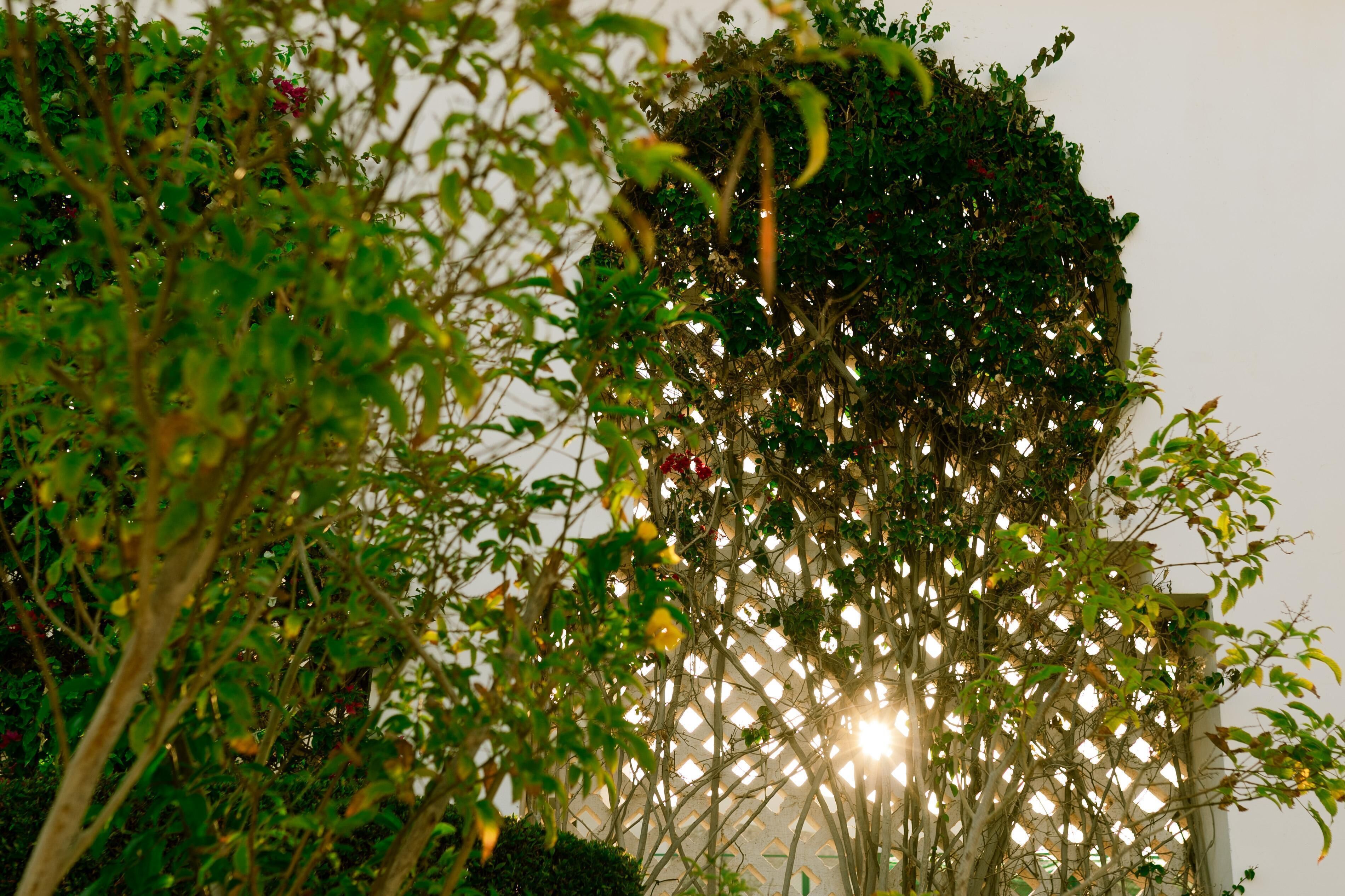 Photo - Baron Palms Adults Friendly Only 16 years plus Boutique Hotel Style