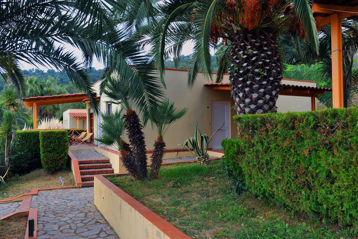 A garden with palm trees, a stone pathway, and a building with a door.