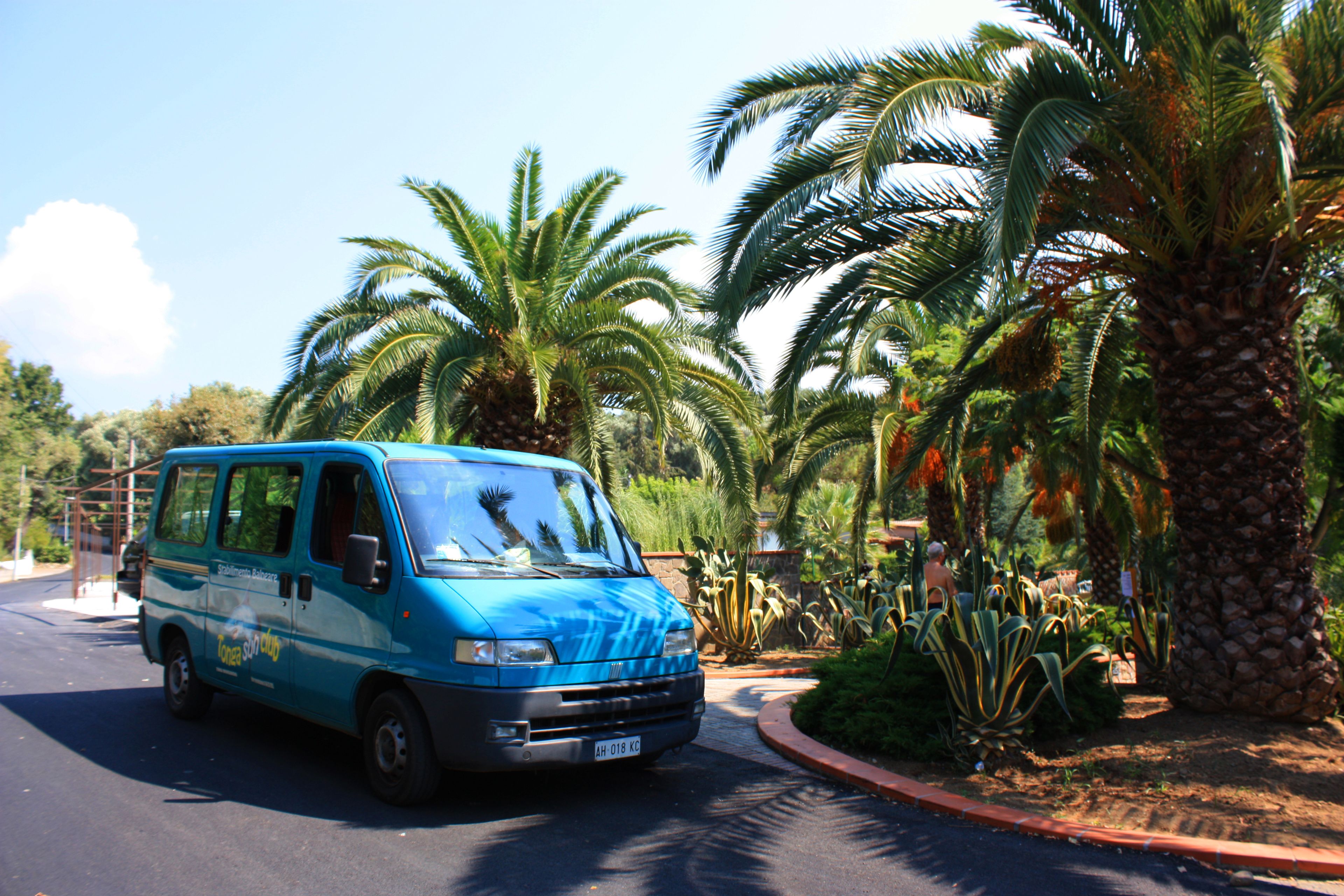 Una camioneta azul estacionada en una carretera, con palmeras y vegetación al fondo.
