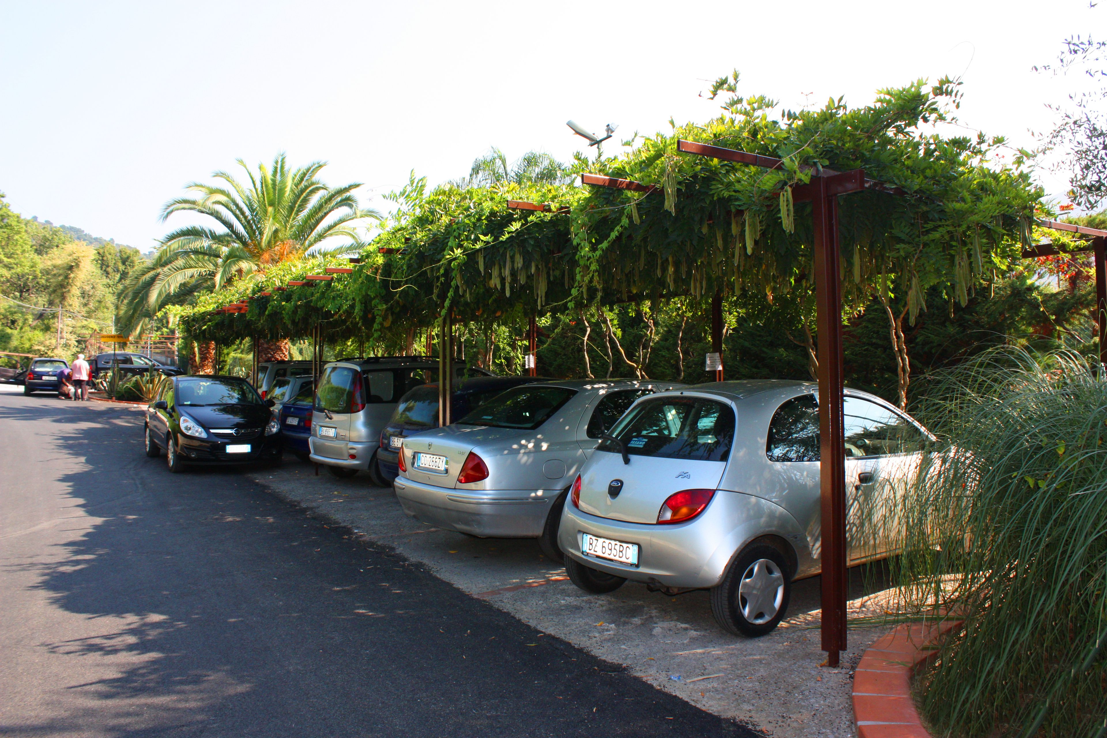 Fila di auto parcheggiate lungo una strada, con un giardino e alberi sullo sfondo.