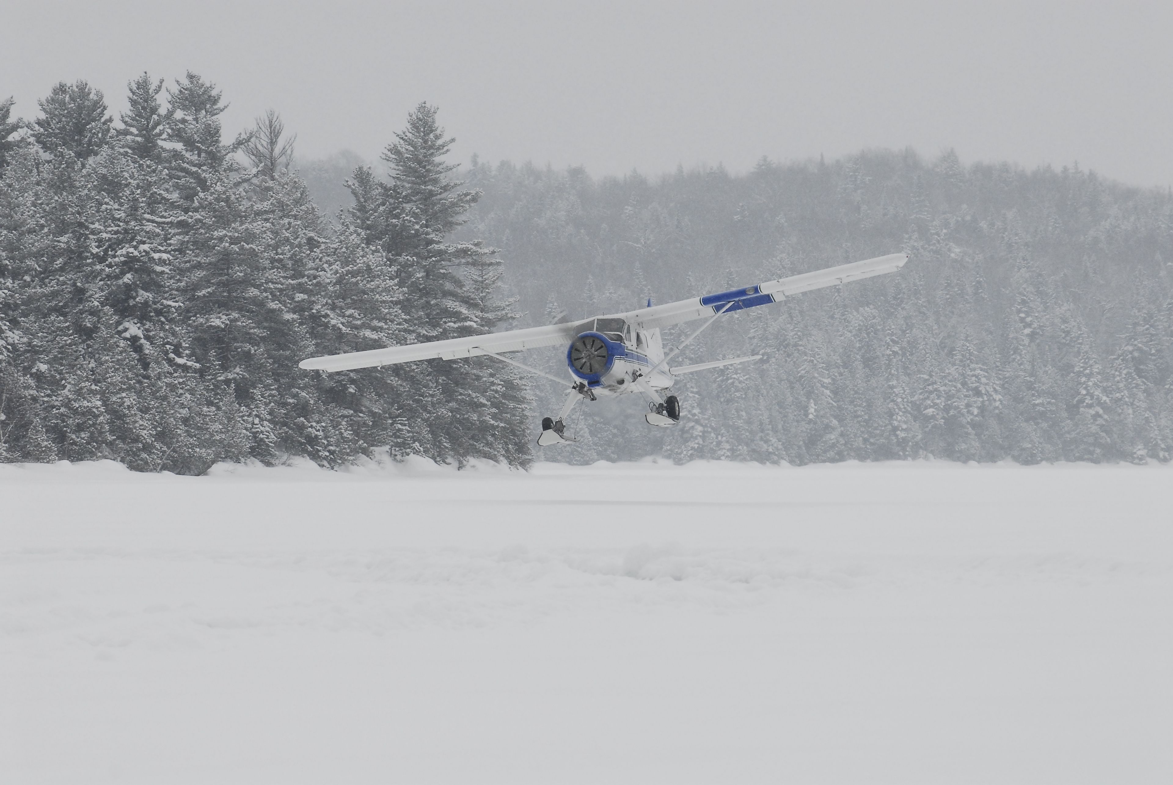 A small aircraft flying over a snowy landscape with dense forests in the background.