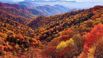 Paesaggio montuoso con colori autunnali.