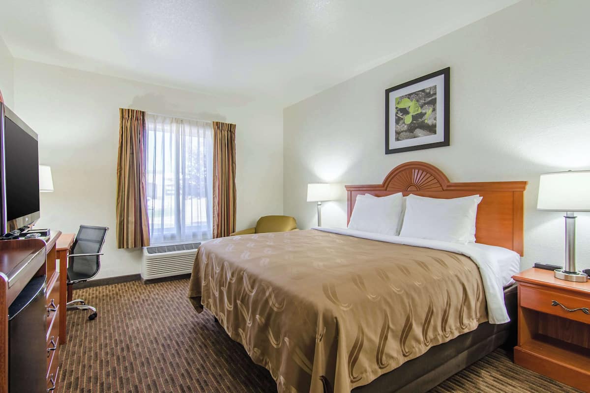 Standard Room, 1 King Bed, Non Smoking