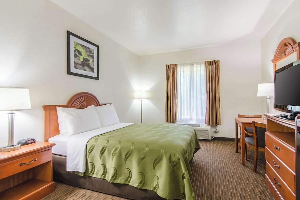 A hotel room with a bed, bedside table, lamp, TV, and a window with curtains.