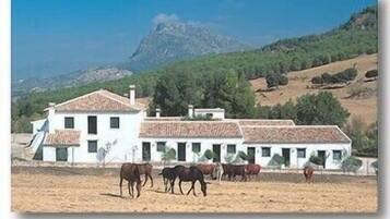 Un edificio blanco con techo de tejas, rodeado de caballos en una zona árida y extensa, con montañas al fondo.