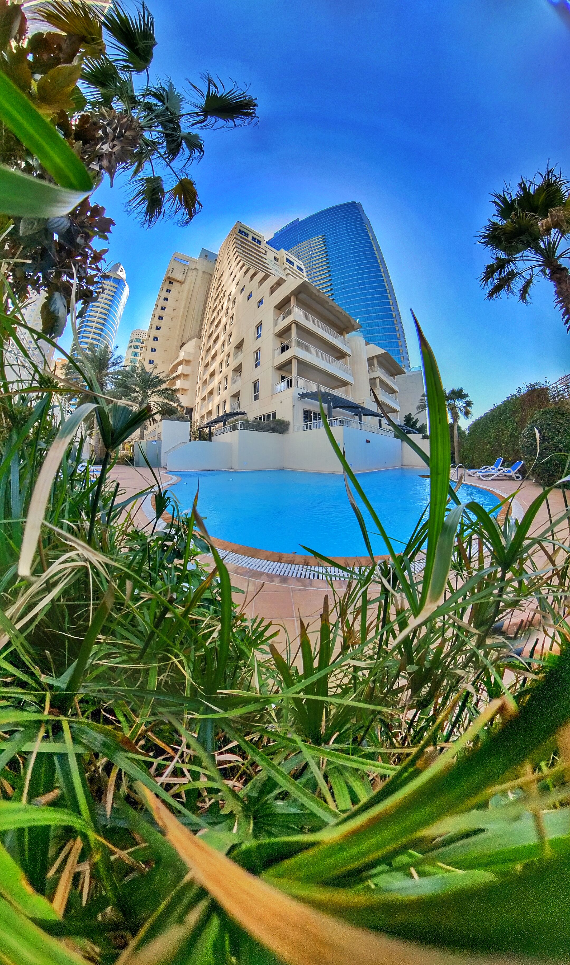 A hotel with a pool, palm trees, and modern buildings in the background.