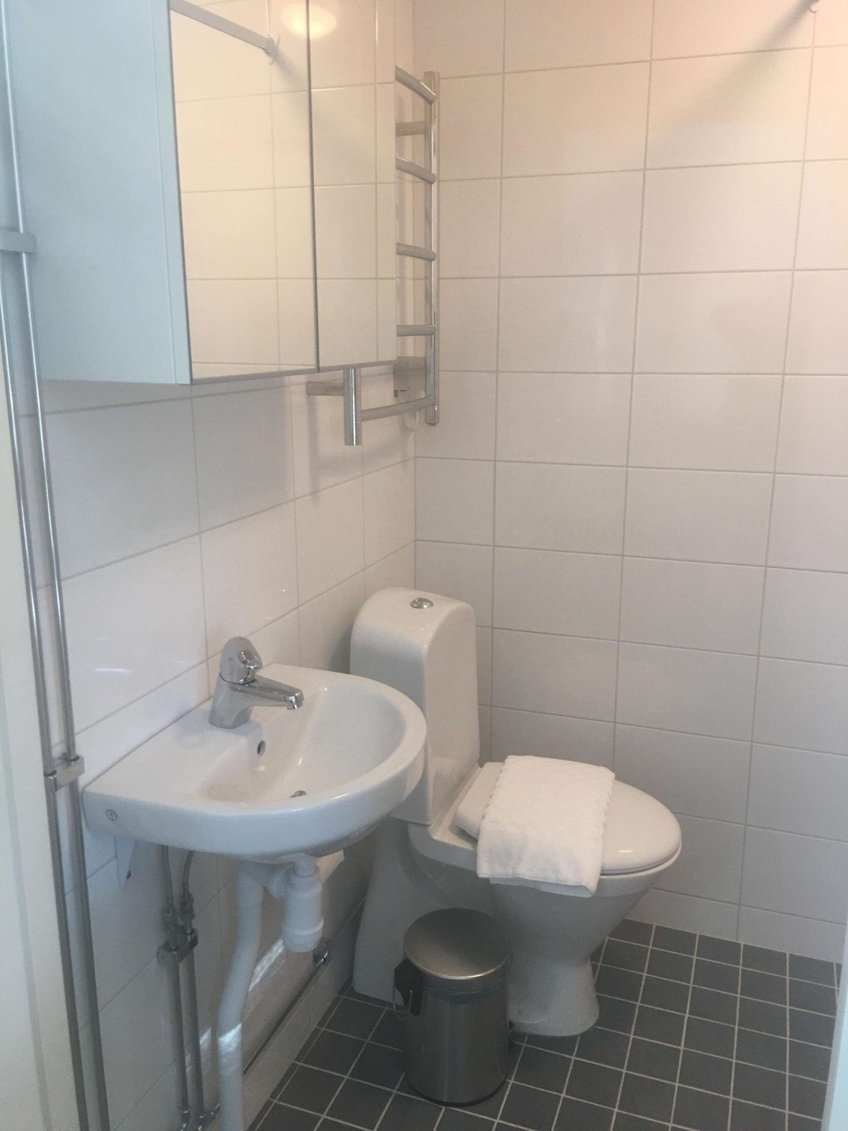 A bathroom with a white sink, a toilet, and a trash bin.