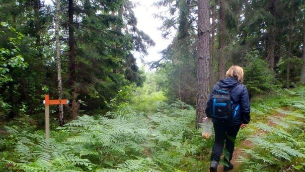 Henkilö kävelee metsäpolulla reppu selässään.
