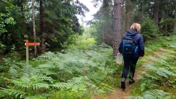 Hiking